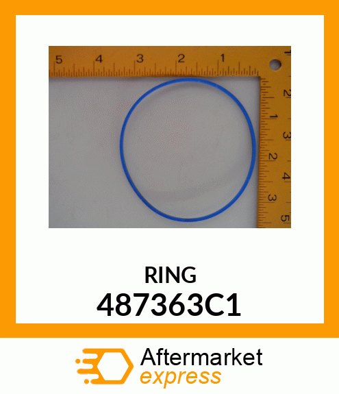 RING 487363C1