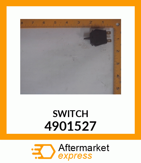 SWITCH 4901527