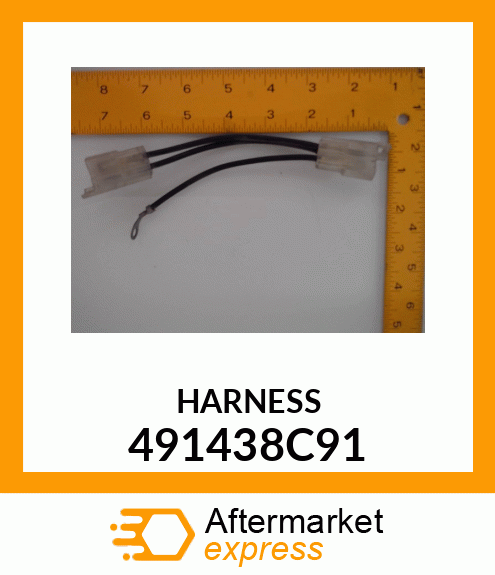 HARNESS 491438C91