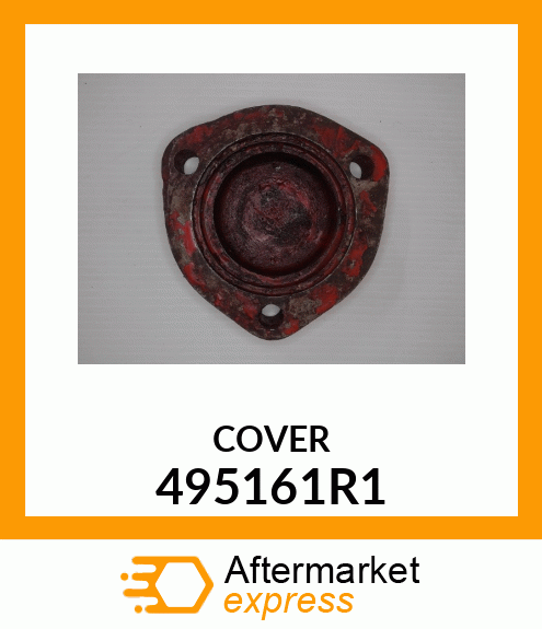 COVER 495161R1