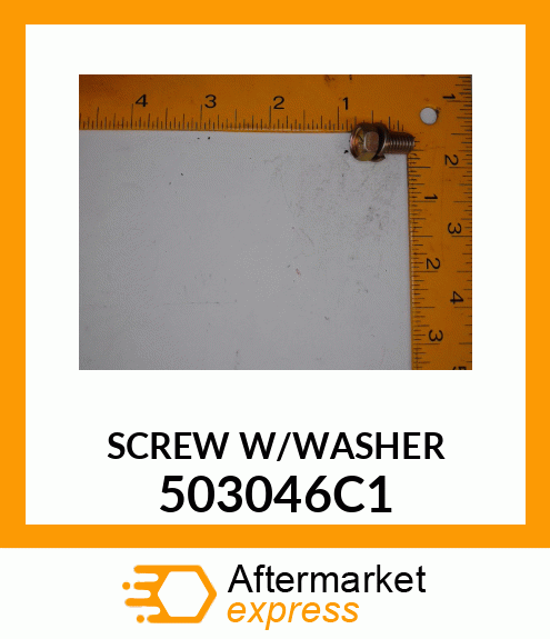 SCREW W/WASHER 503046C1