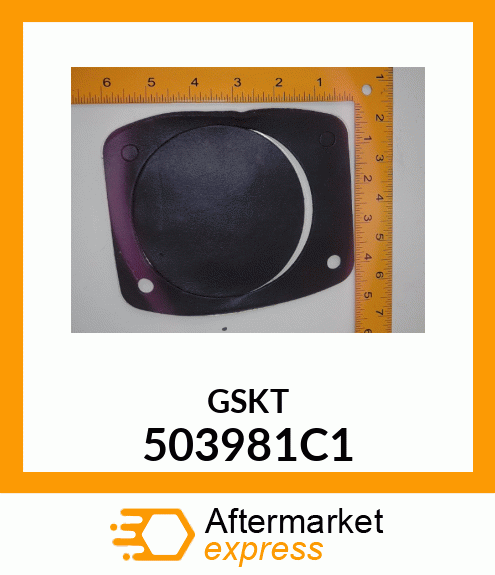 GSKT 503981C1