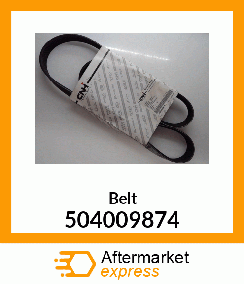 Belt 504009874