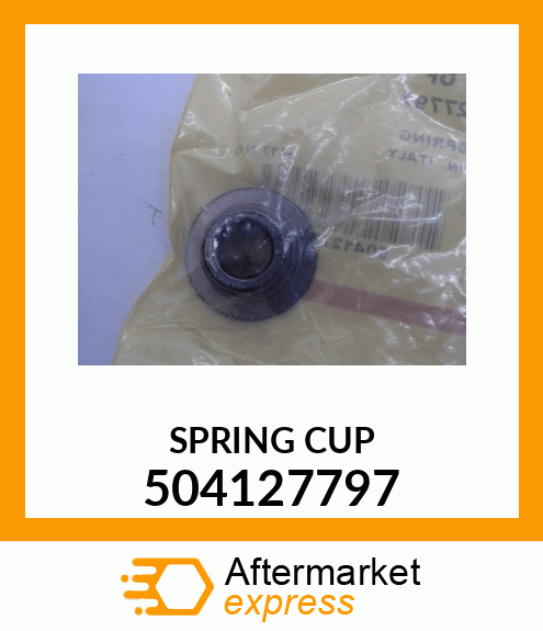 SPRING CUP 504127797