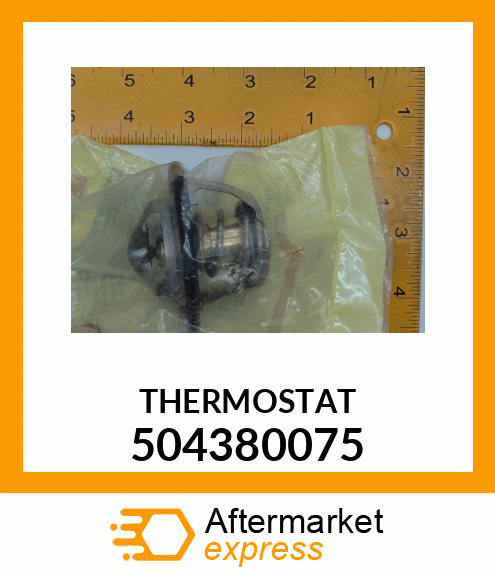 THERMOSTAT 504380075