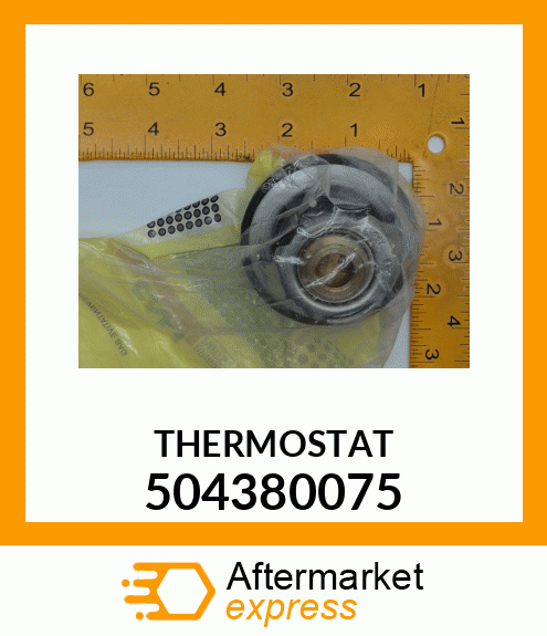 THERMOSTAT 504380075