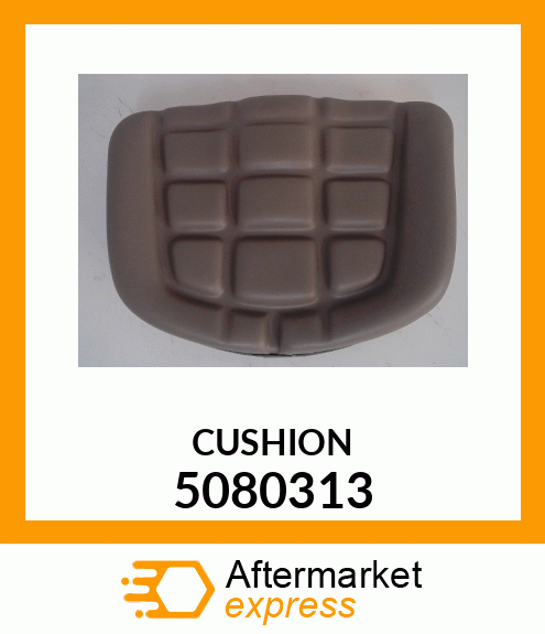 CUSHION 5080313