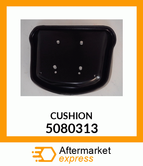 CUSHION 5080313