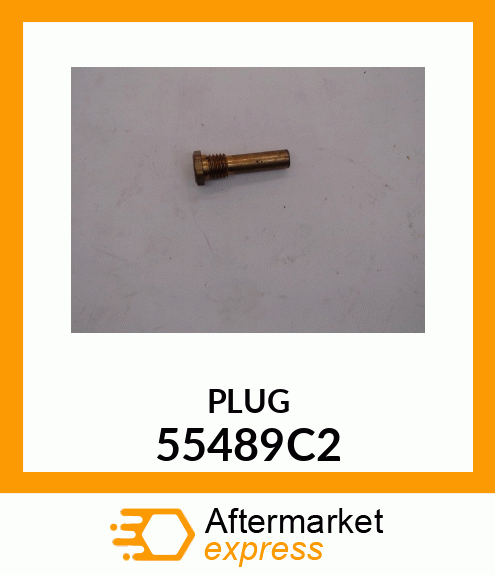 PLUG 55489C2