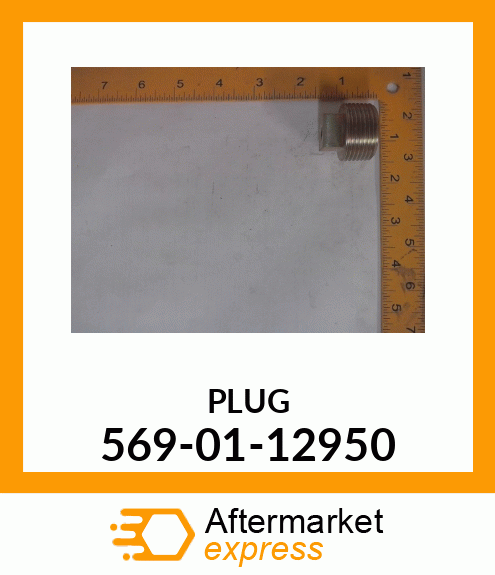 PLUG 569-01-12950