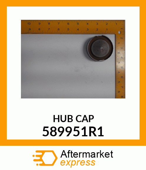 HUB CAP 589951R1