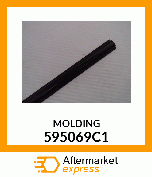 MOLDING 595069C1