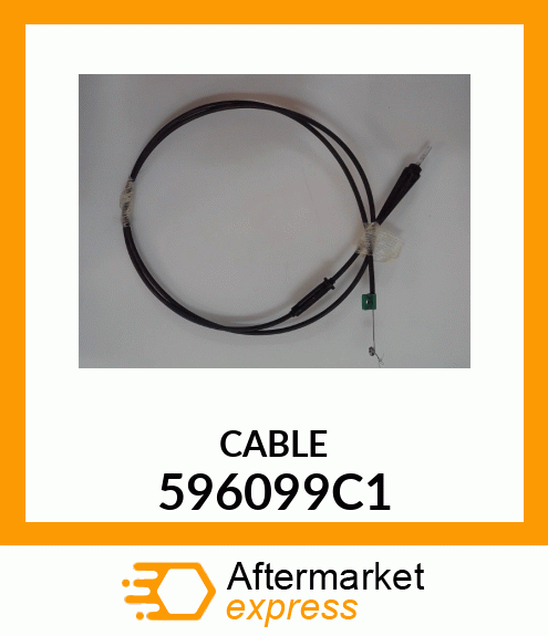 CABLE 596099C1