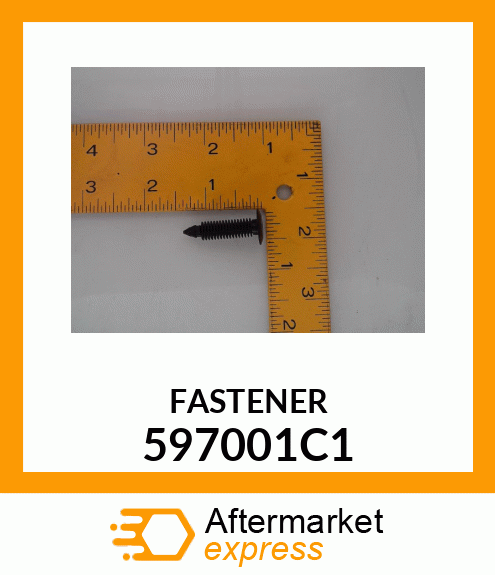 FASTENER 597001C1