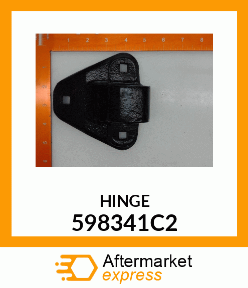 HINGE 598341C2