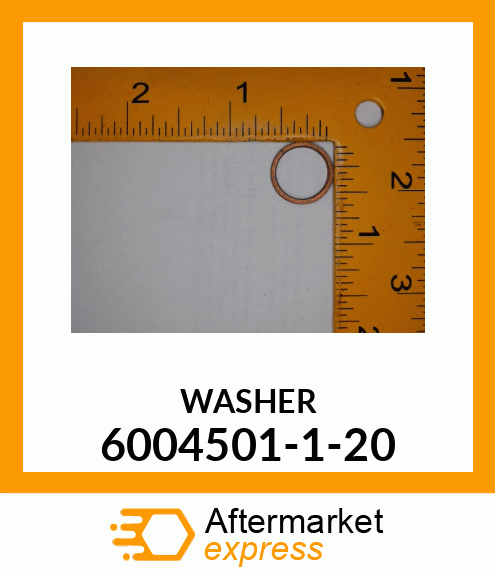 WASHER 6004501-1-20