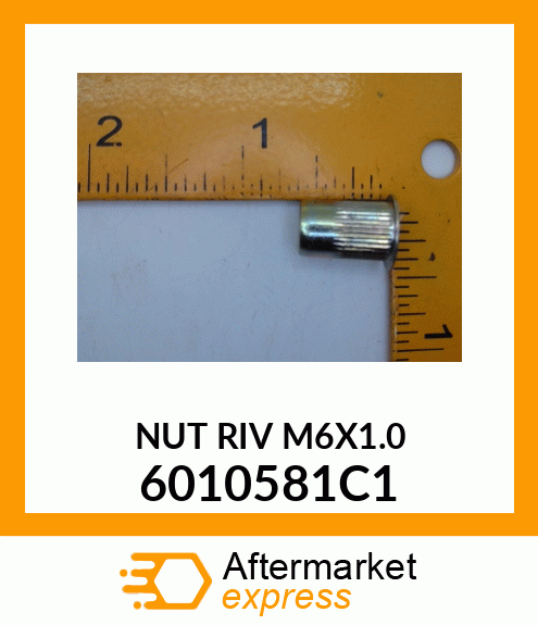 NUT RIV M6X1.0 6010581C1