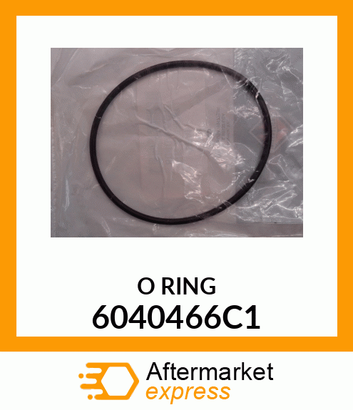 O RING 6040466C1