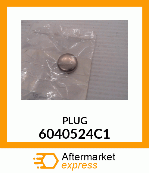 PLUG 6040524C1