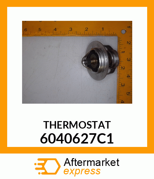 THERMOSTAT 6040627C1