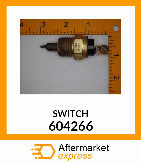 SWITCH 604266