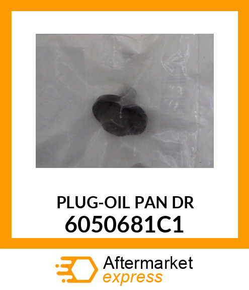 PLUG-OIL PAN DR 6050681C1