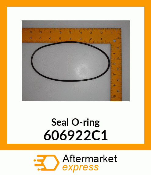 Seal O-ring 606922C1