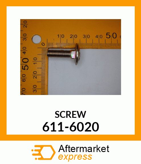 SCREW 611-6020