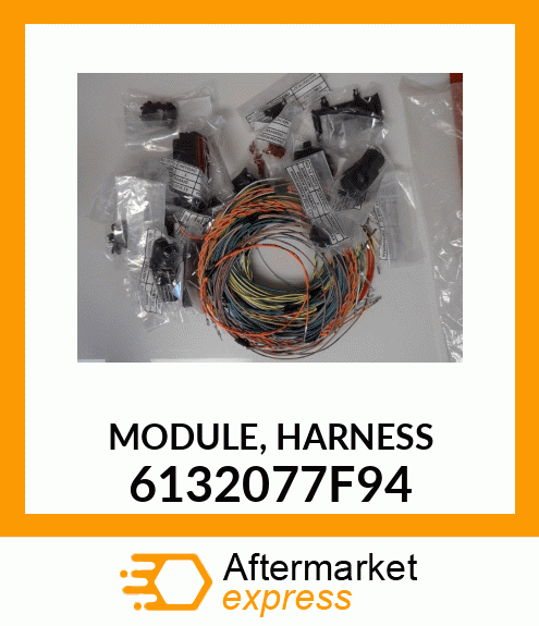 MODULE, HARNESS 6132077F94