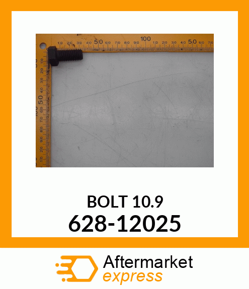 BOLT 10.9 628-12025