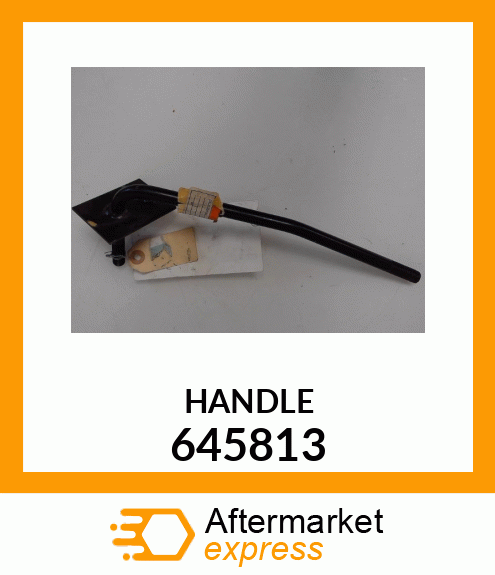 HANDLE 645813