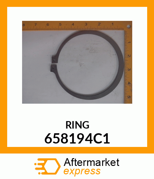 RING 658194C1