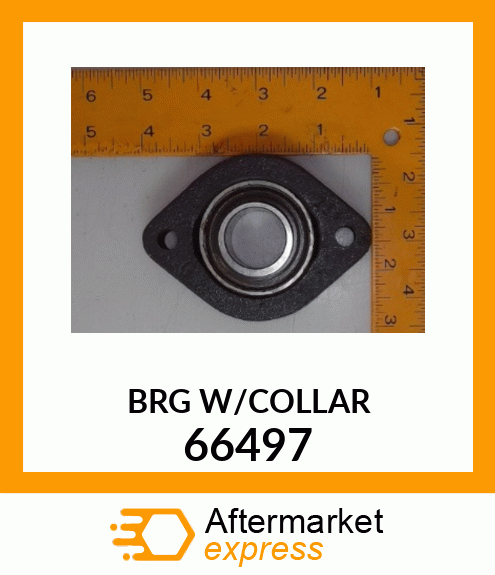 BRG W/COLLAR 66497