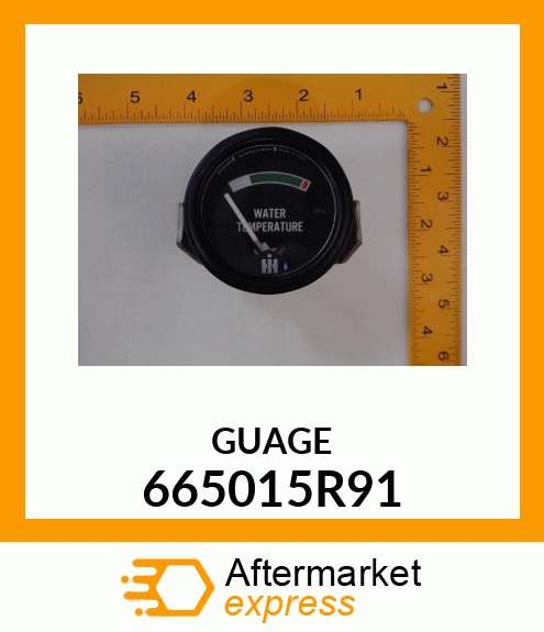 GUAGE 665015R91