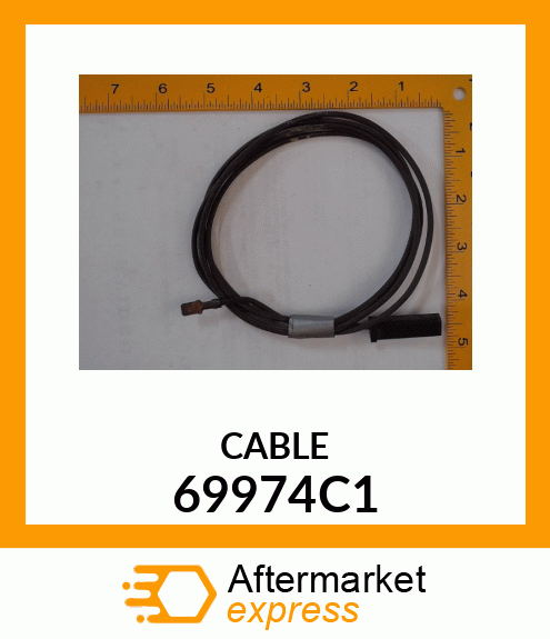 CABLE 69974C1