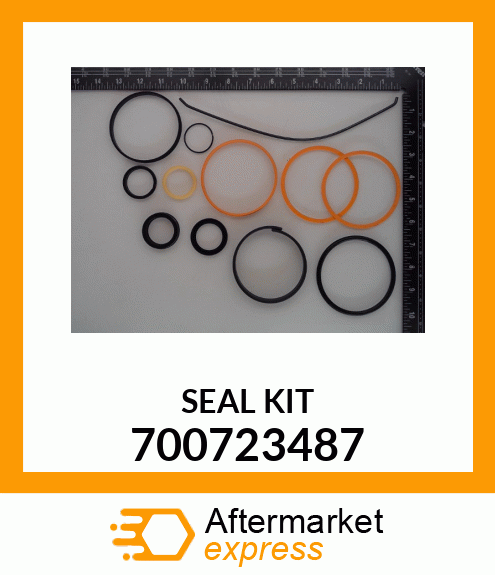 SEAL KIT 700723487