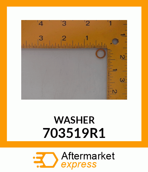 WASHER 703519R1