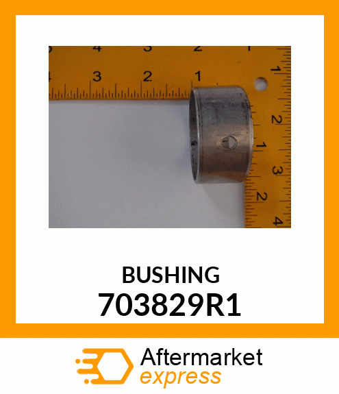 BUSHING 703829R1