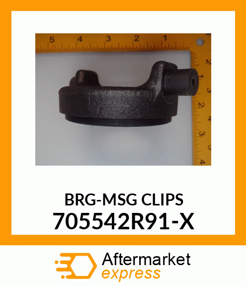 BRG-MSG CLIPS 705542R91-X