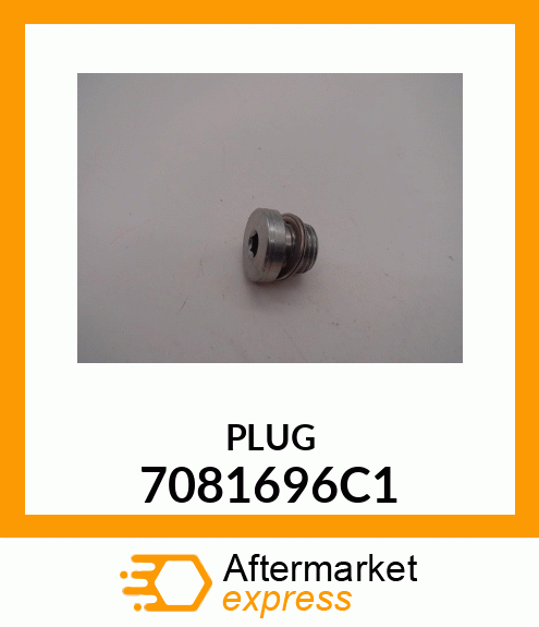 PLUG 7081696C1