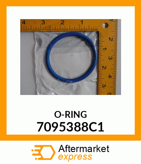 O-RING 7095388C1