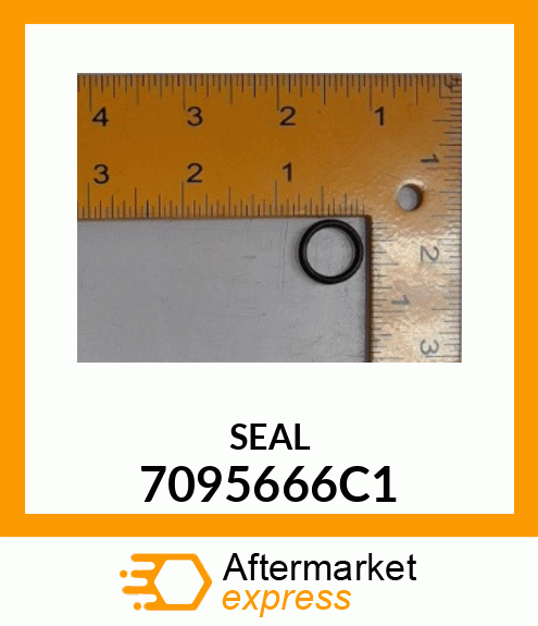 SEAL 7095666C1