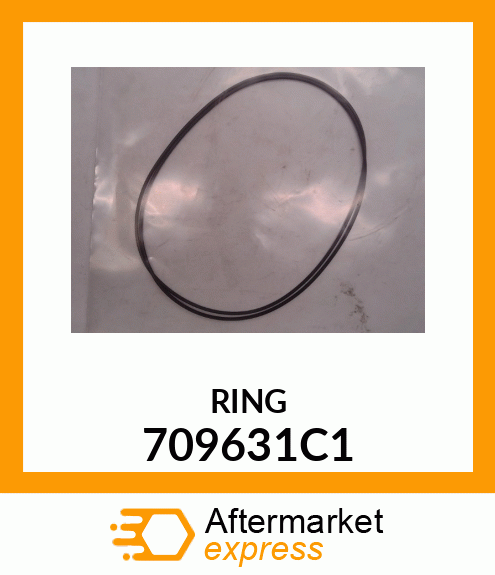 RING 709631C1