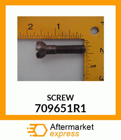 SCREW 709651R1