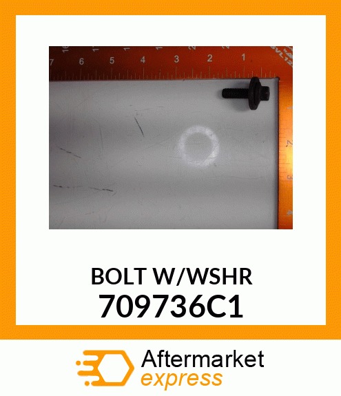 BOLT W/WSHR 709736C1