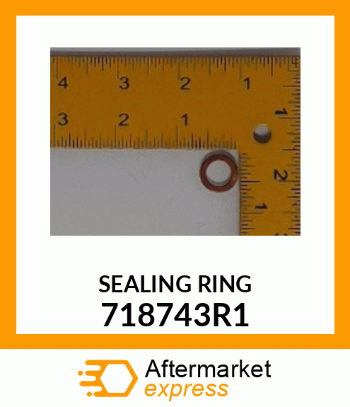 SEALING RING 718743R1