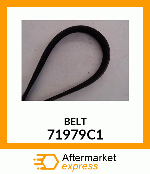 BELT 71979C1