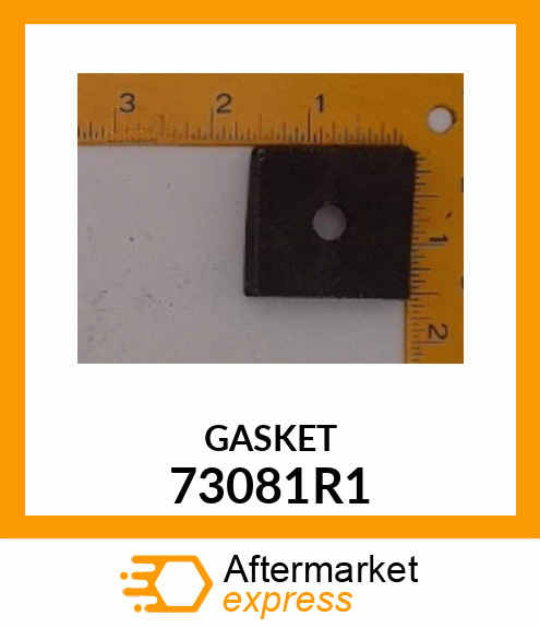 GASKET 73081R1