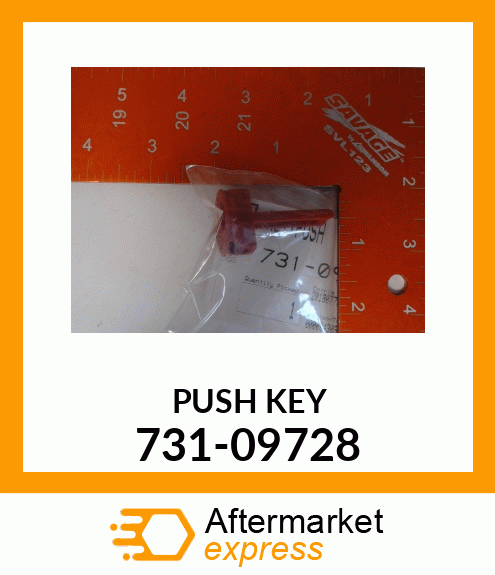 PUSH KEY 731-09728