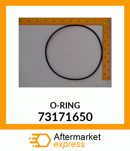 O-RING 73171650